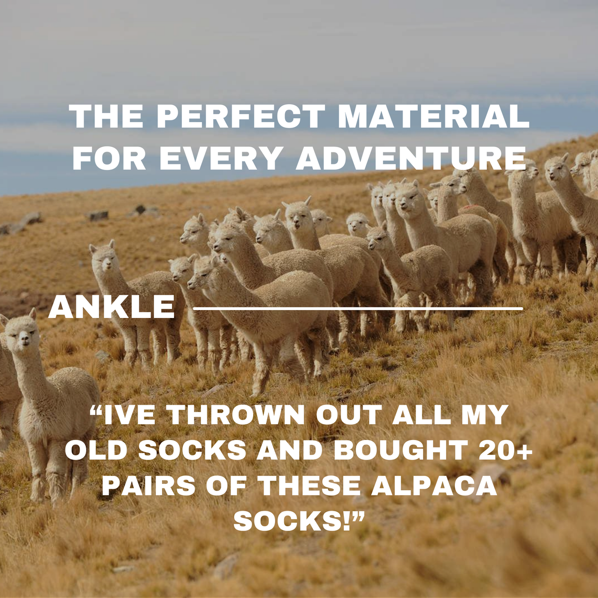 ankle-socks-04