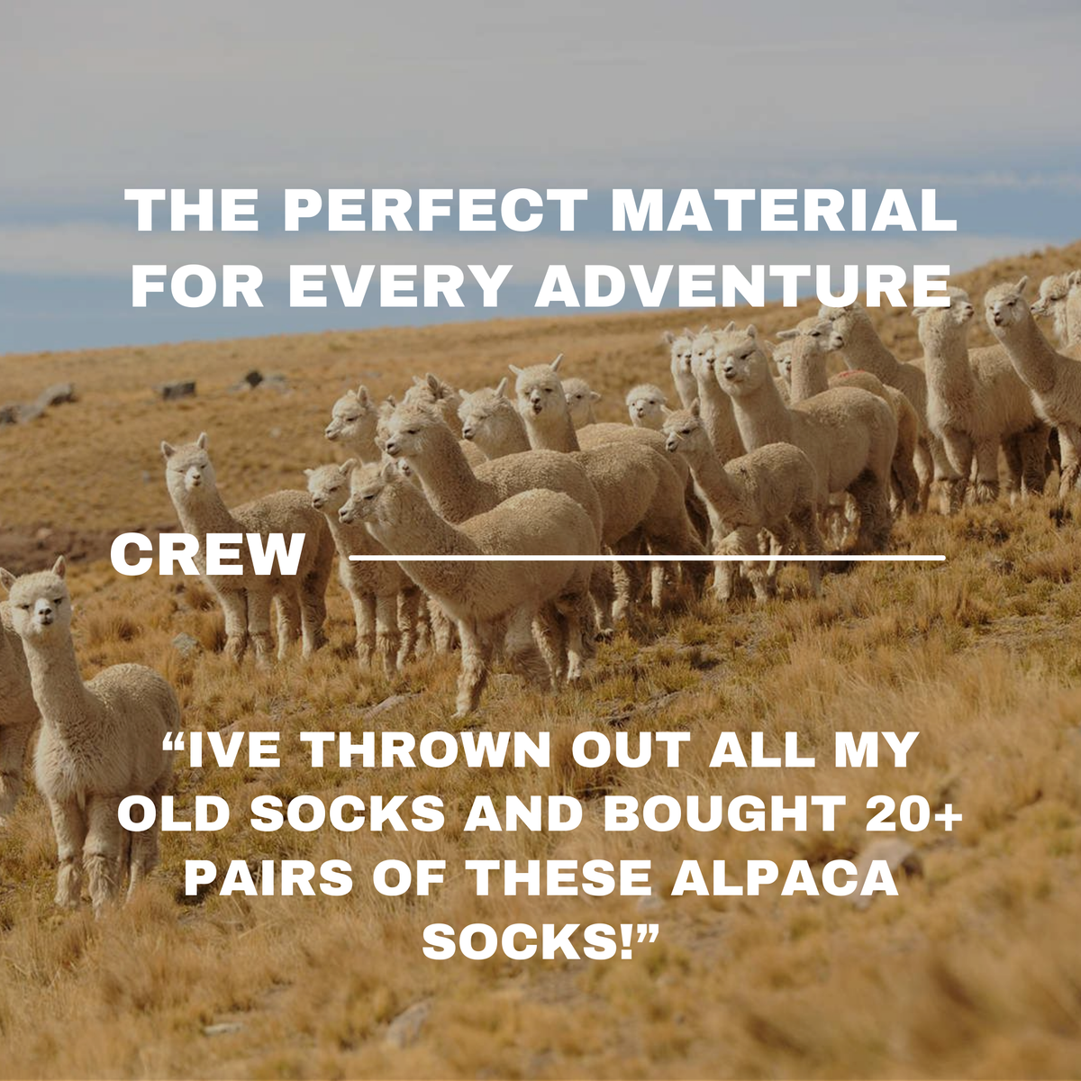 crew-socks-07