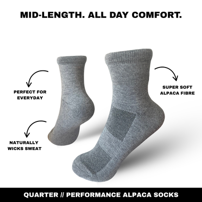 quarter-socks-02