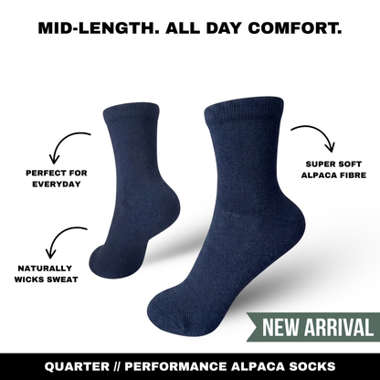quarter-socks-08